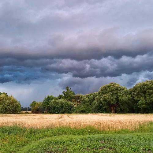 Photo #10743689