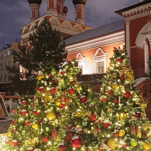 Photo #10743818