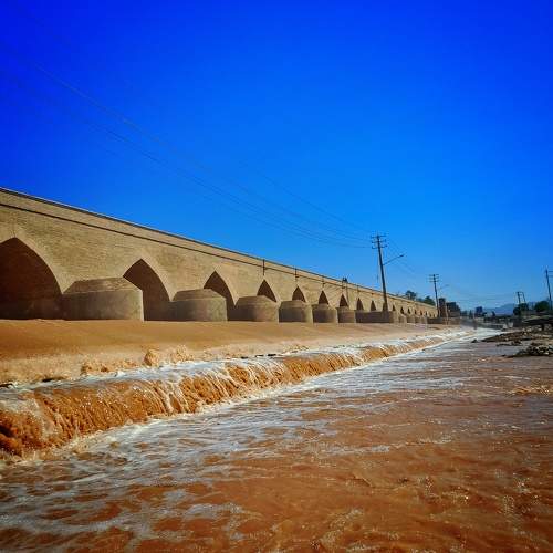 Photo #10743992