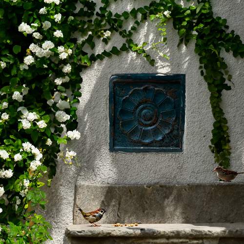Photo #10744037