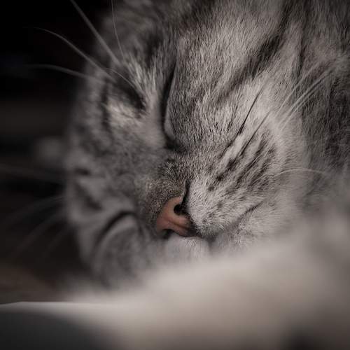 Photo #10744102