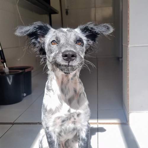 Photo #10744103