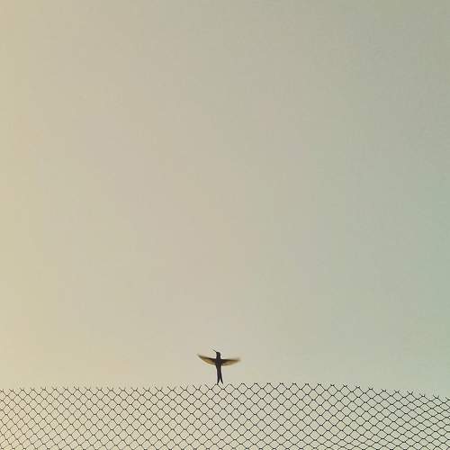 Photo #10744123