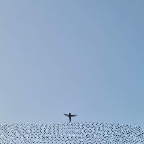 Photo #10744124