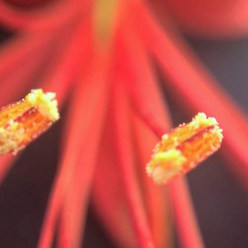 Photo #10744229