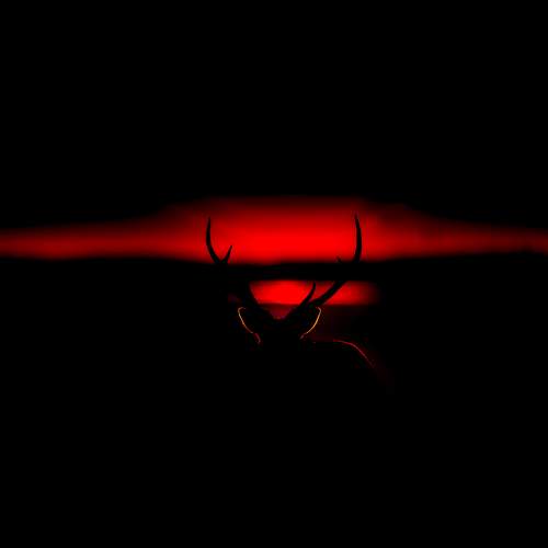 Фотография #10744263