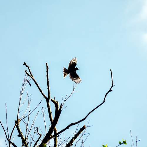 Photo #10744411