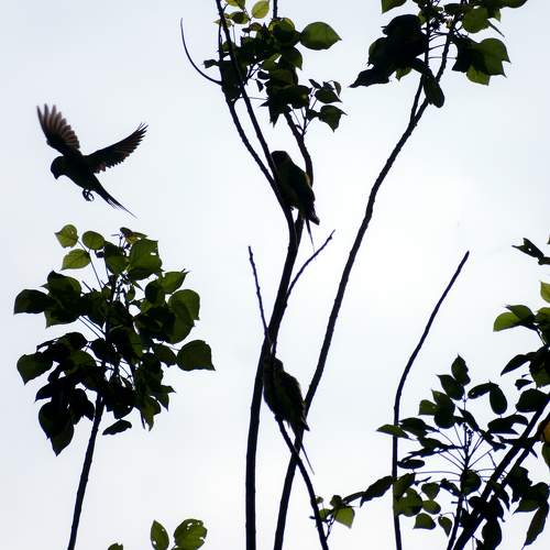 Photo #10744412