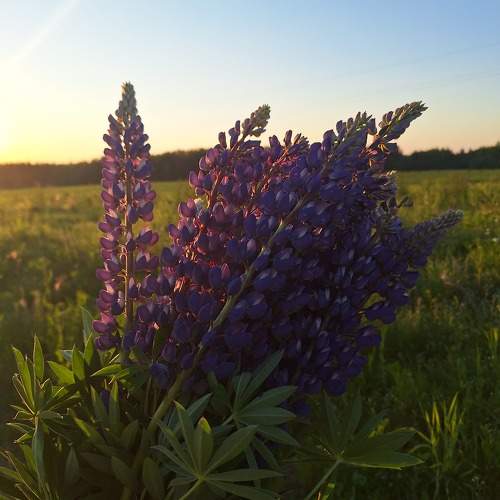 Photo #10744449