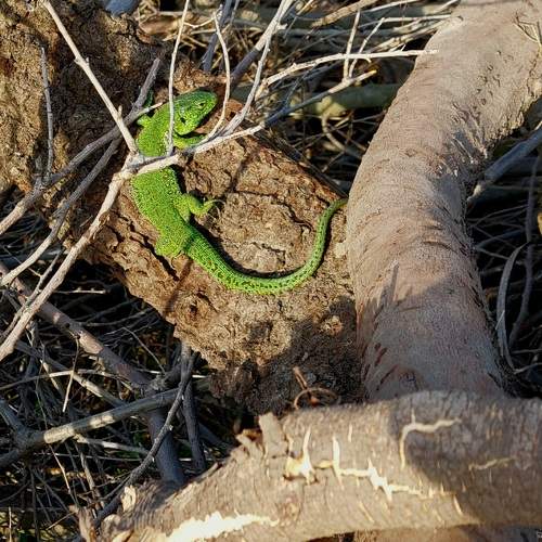 Photo #10744731
