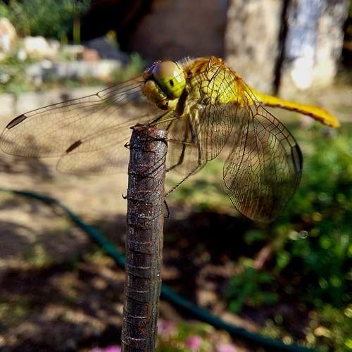 Photo #10744756