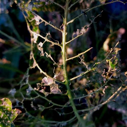 Photo #10744810