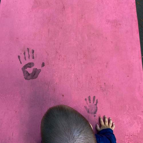 Photo #10744840