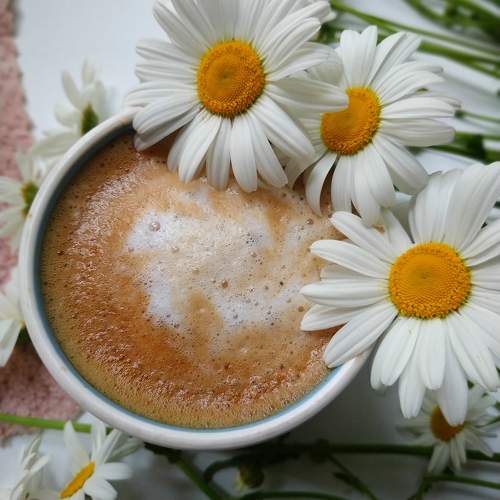 Photo #10745291