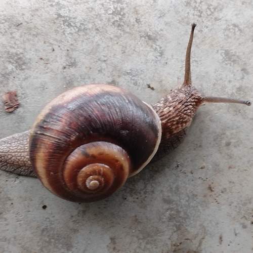 Photo #10745476