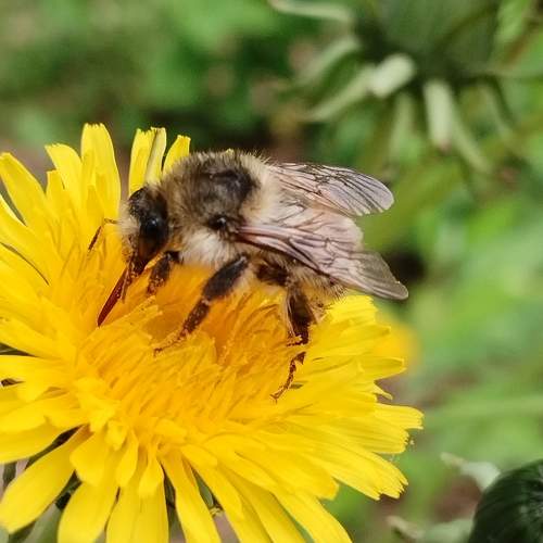 Photo #10745499