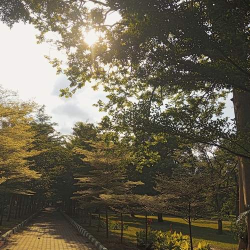 Photo #10745560