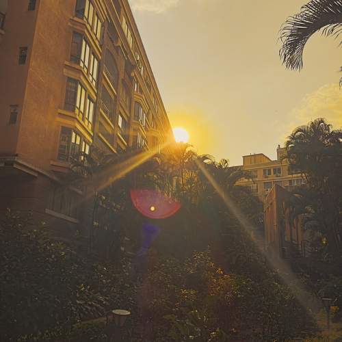 Photo #10745564