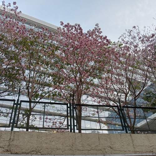 Photo #10745579