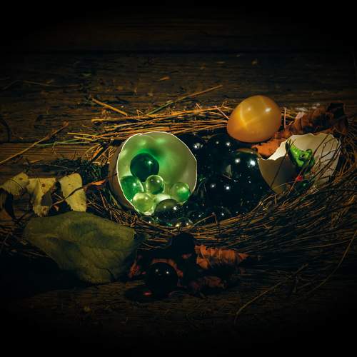Photo #10746004
