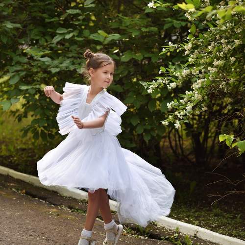 Photo #10746337