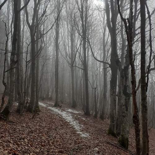 Photo #10746368