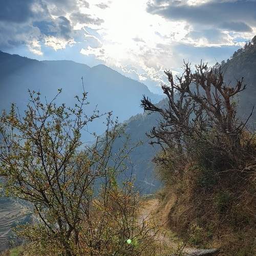 Nature - characteristics that makes us human