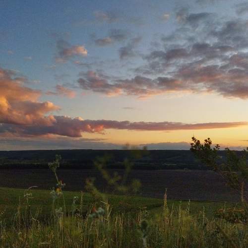 Photo #10746918
