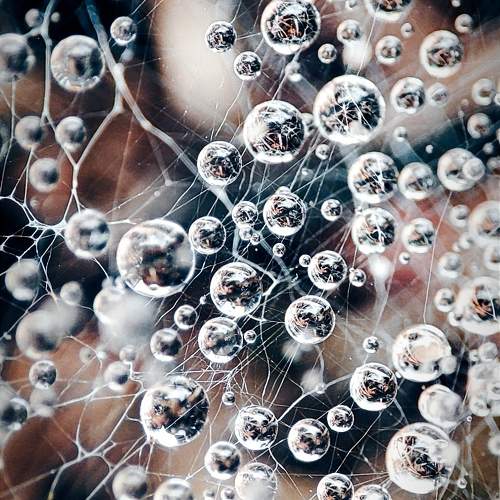 Photo #10747281