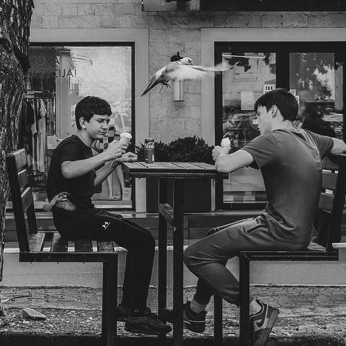 Photo #10747472