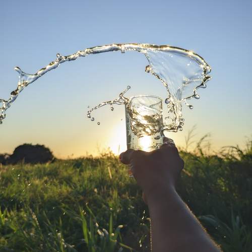 Photo #10747912