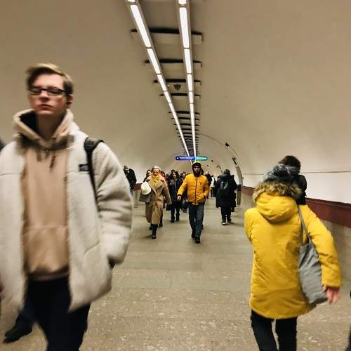Photo #10748606