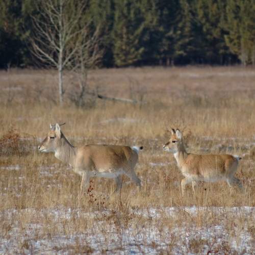 Photo #10748683