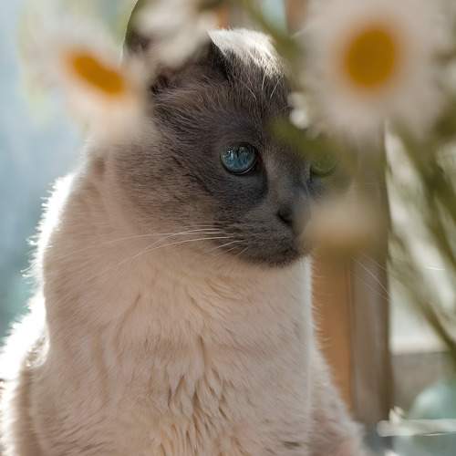 Photo #10749172