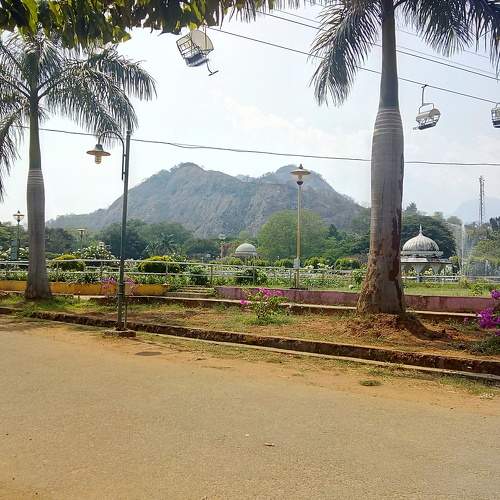 Photo #10749609