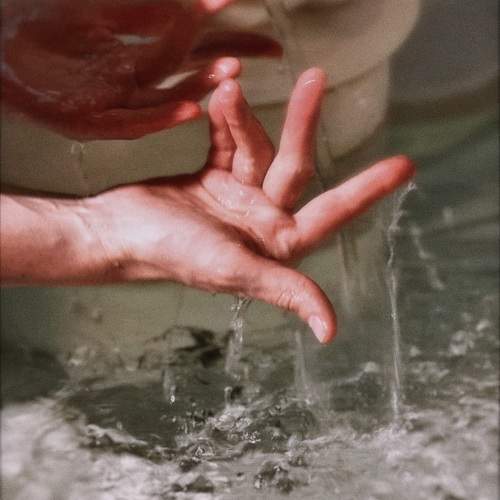 Photo #10749815