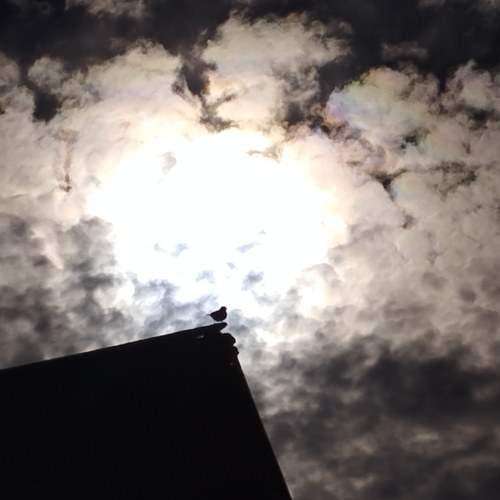 Photo #10749890