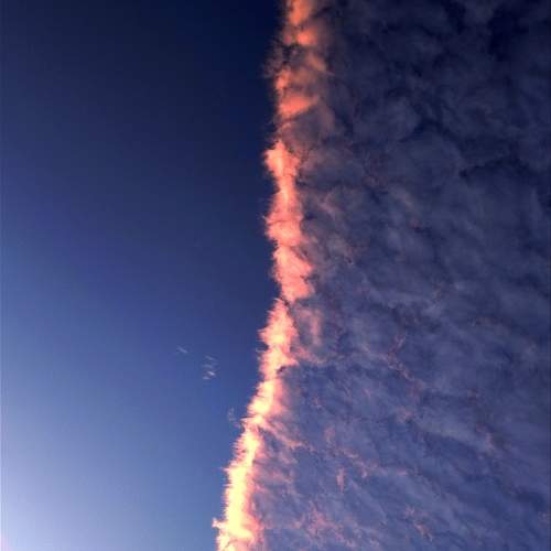 Photo #10749892
