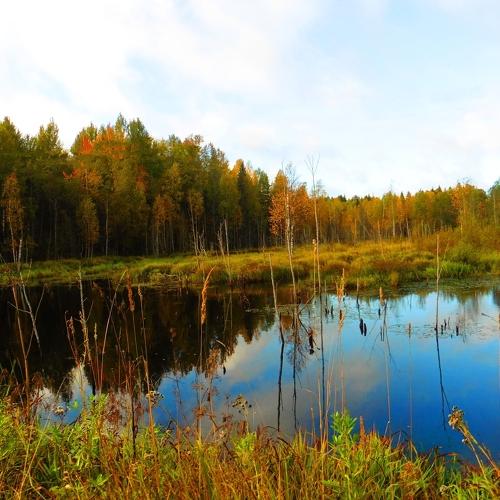 Фотография #1078549