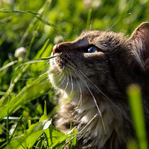 Photo #10750134