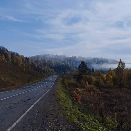 Photo #10750153