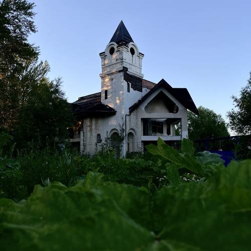 Photo #10750457