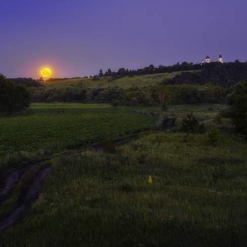 Фотография #10750708