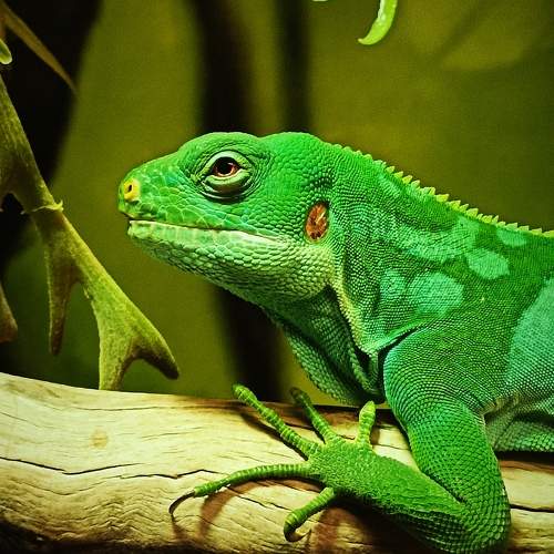 Фотография #10750892