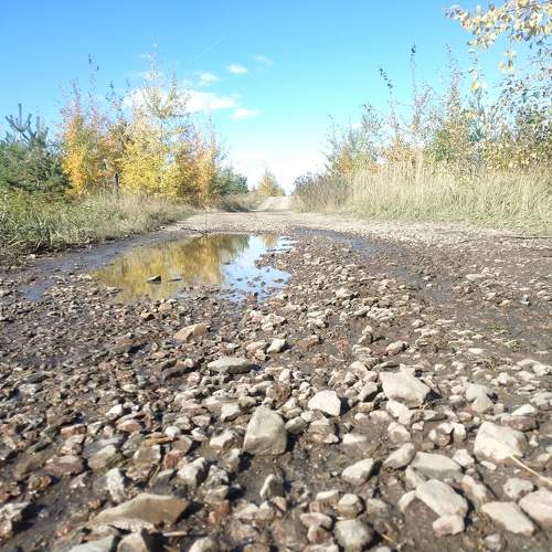 Photo #10751216