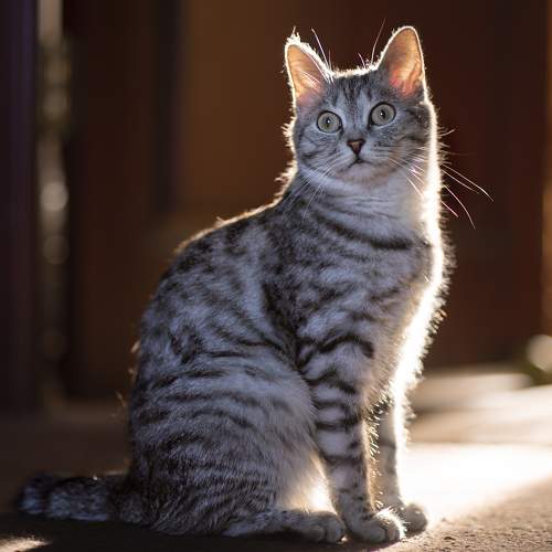 Photo #10751609