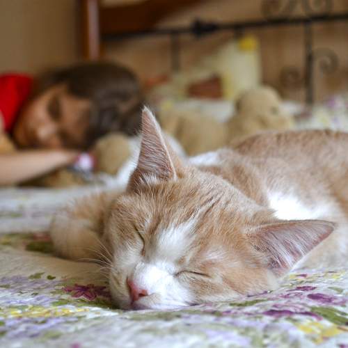 Photo #10751610