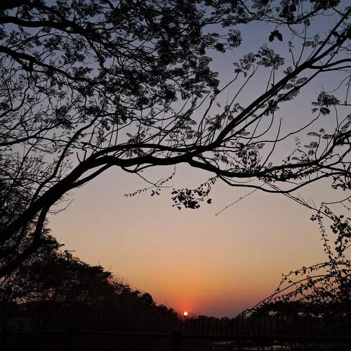 Photo #10751815
