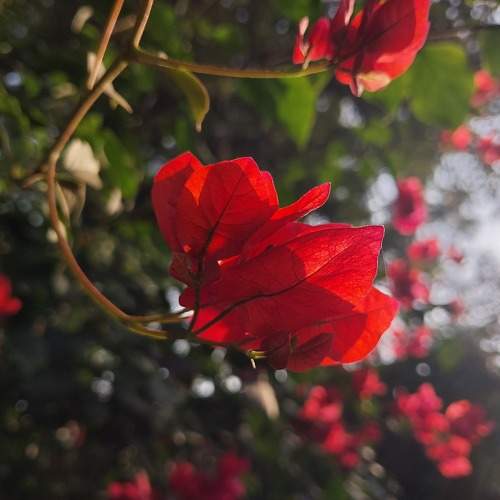 Photo #10752223
