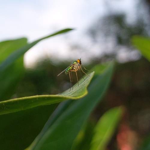 Photo #10752250